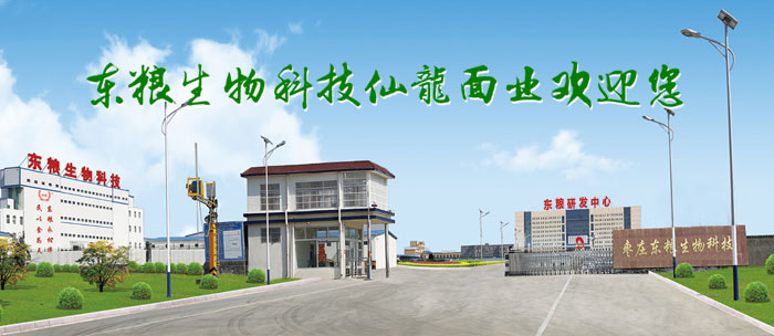 |ZƼgӭ